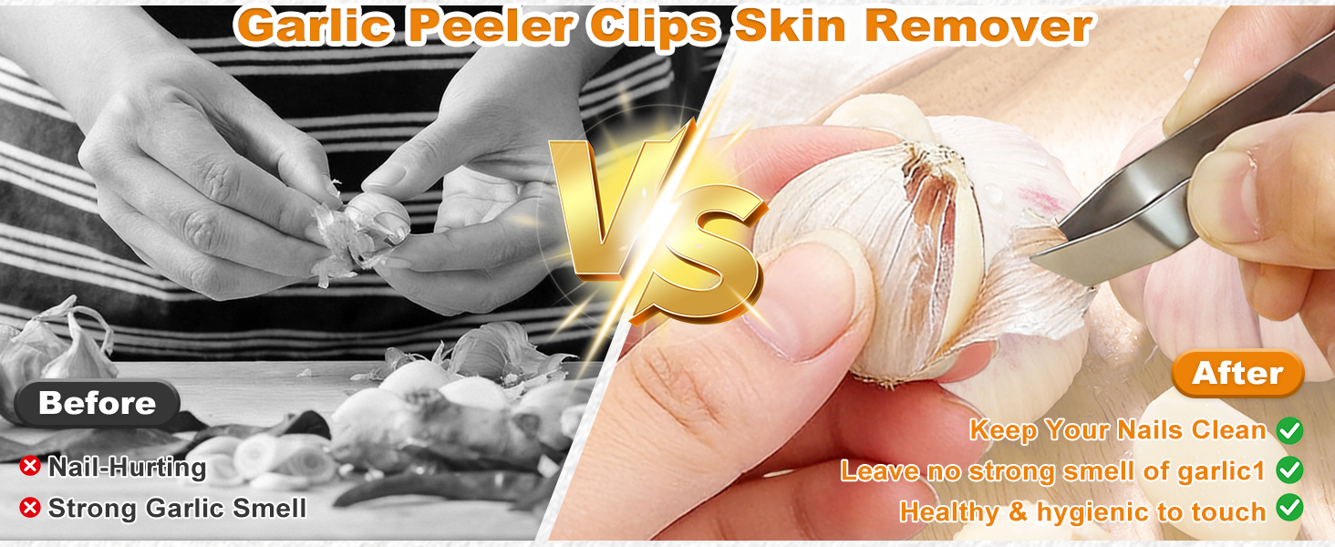 garlic chopper mincer