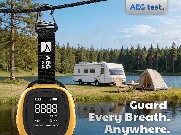 carbon monoxide detector