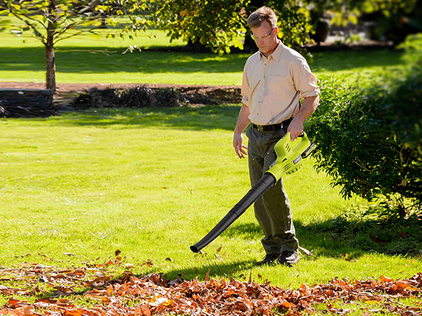 Leaf Blower with 2 Batteries and Charger