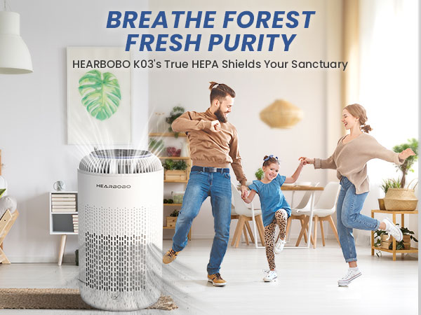 air purifiers for home large room
