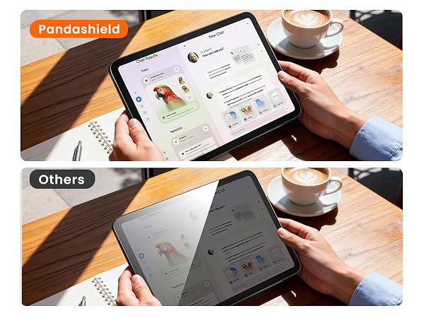 Anti-glare screen protector for iPad