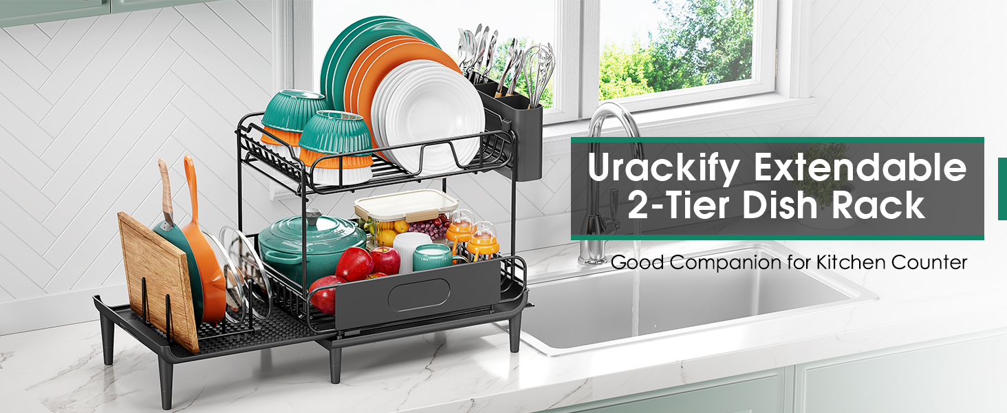 2 tier dish rack