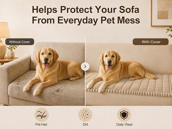 Helps Protect Your Sofa from Everyday Pet Mess