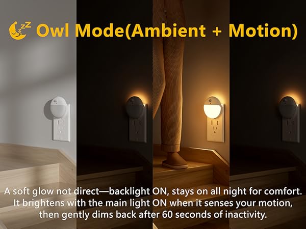 owl mode night light