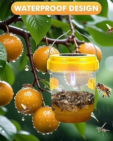 Bee Trap