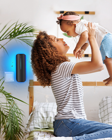 fly trap indoor housefly