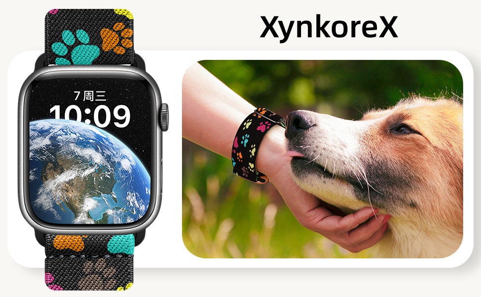XynkoreX