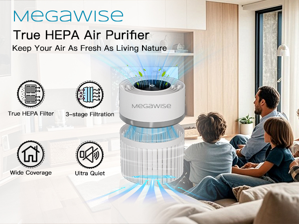 Air purifier