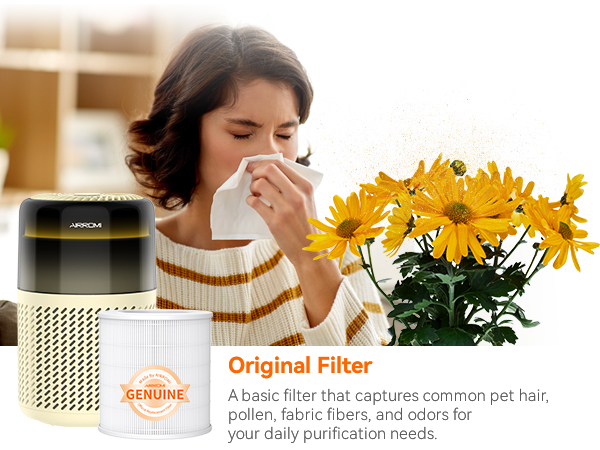 pet air purifiers for home