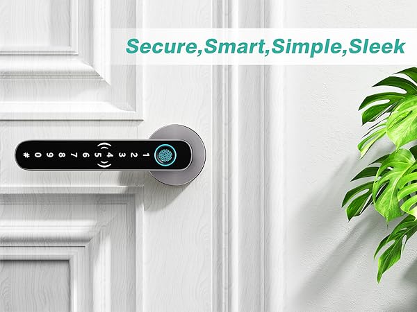 biometric front entry door lock