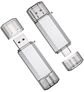 RAOYI 2 Pack 64GB USB C Flash Drive, 2 in 1 USB 3.0 Type C Dual OTG Metal Thumb Drive Jump Drive ...