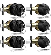 AEEKEL Exterior Door Knob with Lock and Key, 3 Pack Keyed Alike Entry Door Knob for Front Door Lo...