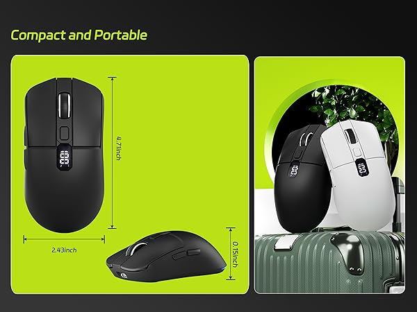 mouse