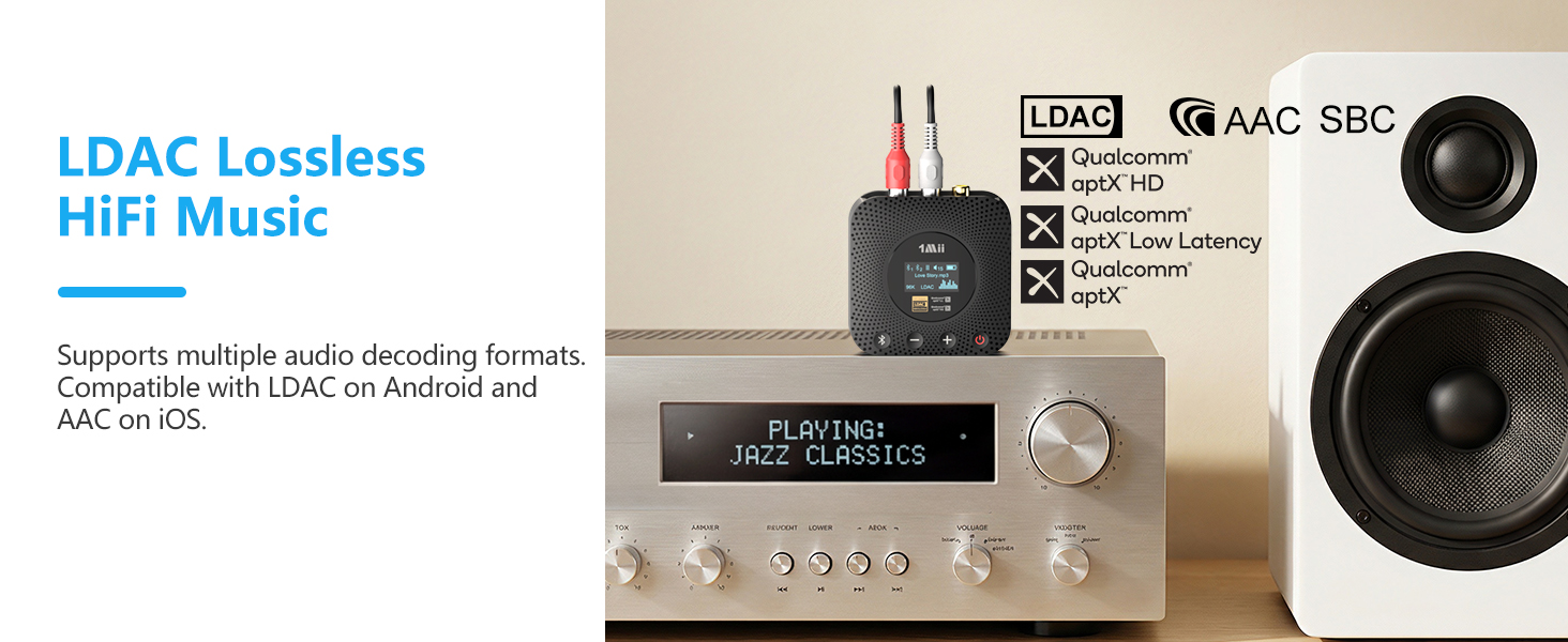 LDAC HiFi Audio
