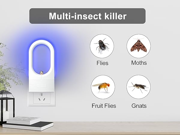 fly trap