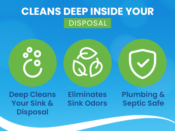 disposal and sink drain cleaner