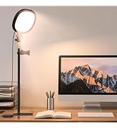 PQRQP Desk Ring Light with Stand &amp; Built-in Phone Mount, CRI =97, Adjustable Ring Light for Compu...