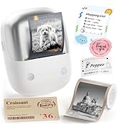 NIIMBOT B2 Pro Label Maker Machine, 300 DPI High Definition, Portable Thermal Label Printer with ...