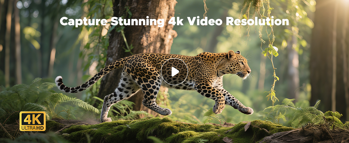 Night Vision Goggles