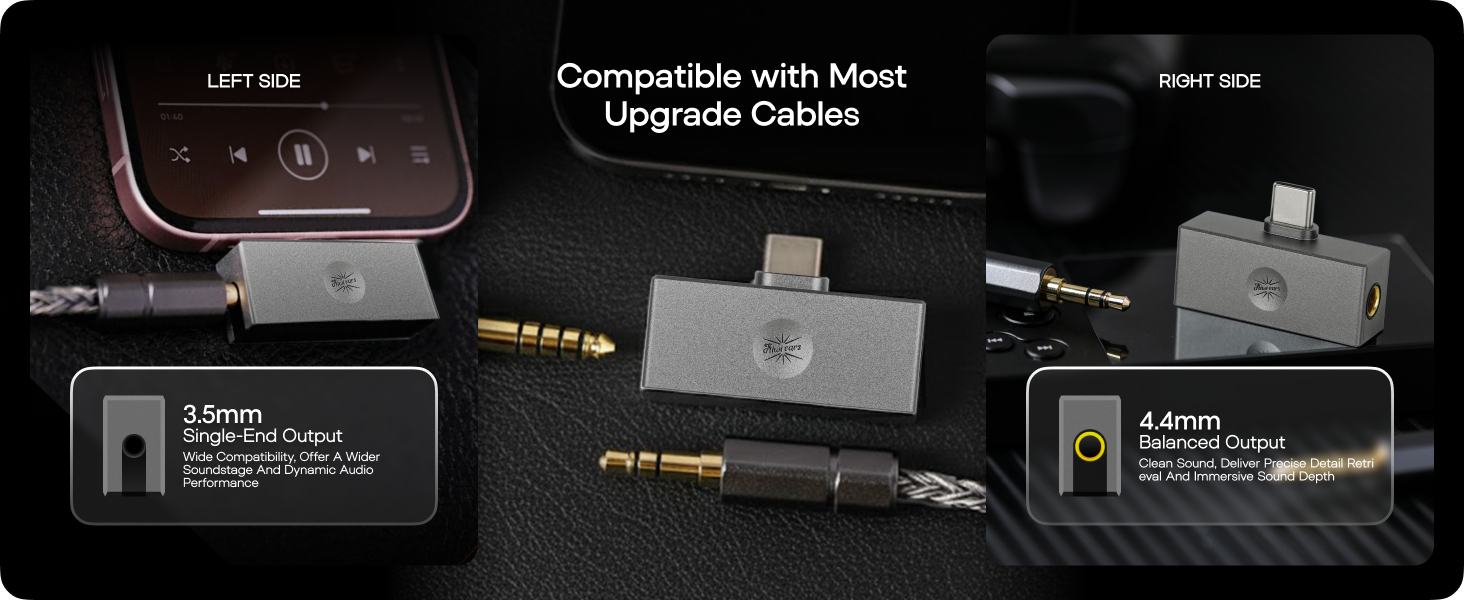 kiwi ears allegro mini dac amp