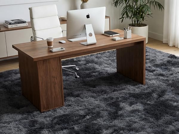 Rug for Office