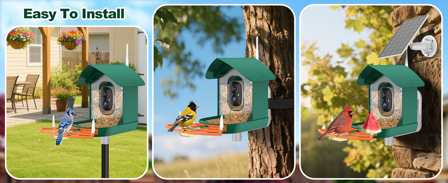 bird feeder with camera orange