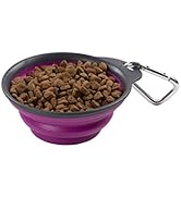 Dexas Pets Collapsible Travel Cup, Small/1 Cup Capacity, Fuchsia