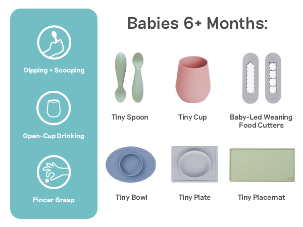 Babies 6+ months