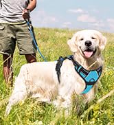 BARKBAY No Pull Pet Harness Dog Harness Adjustable Outdoor Pet Vest 3M Reflective Oxford Material...