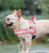 Didog No Pull Dog Harness with Soft Padded, Easy Walk Dog Harness with Quick Release Buckle, Adju...