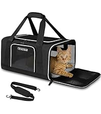 https://m.media-amazon.com/images/I/41RS2BlthcL.__AC_SR200,225___.jpg