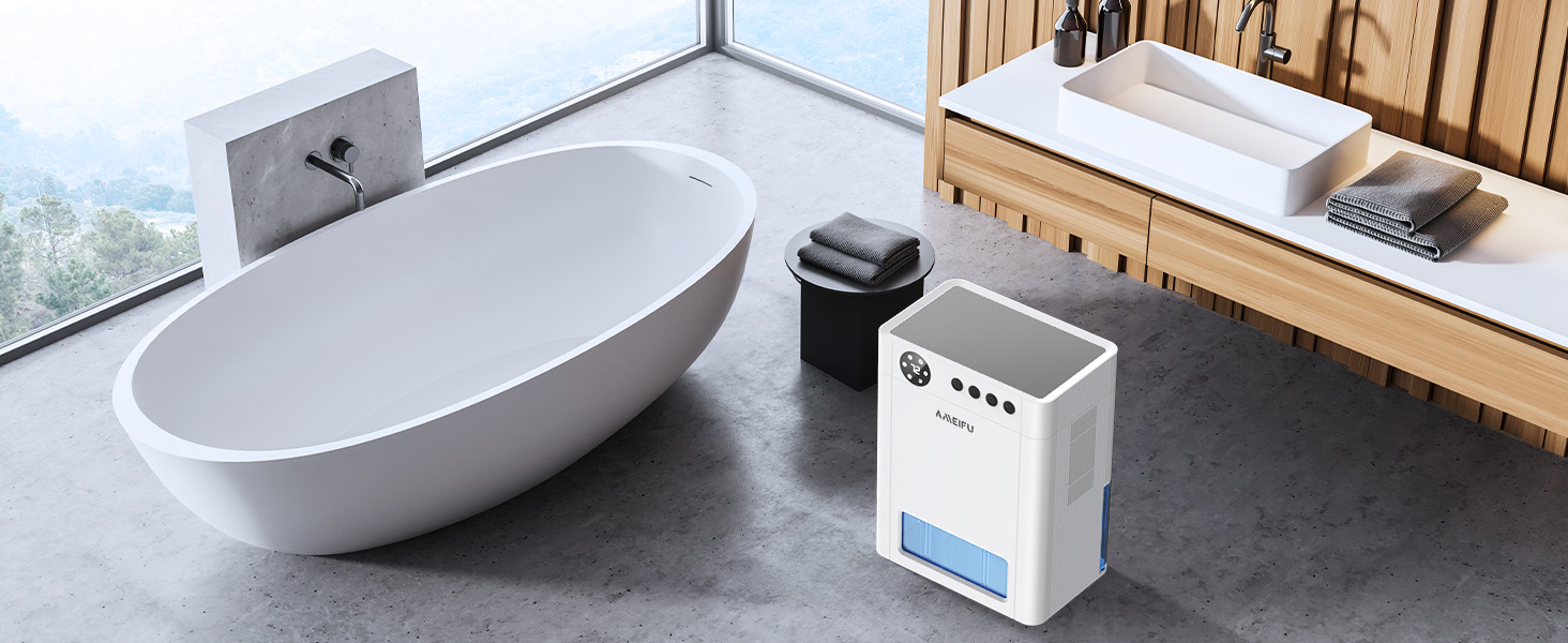 Dehumidifier