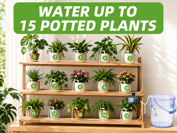auto watering for plants indoor