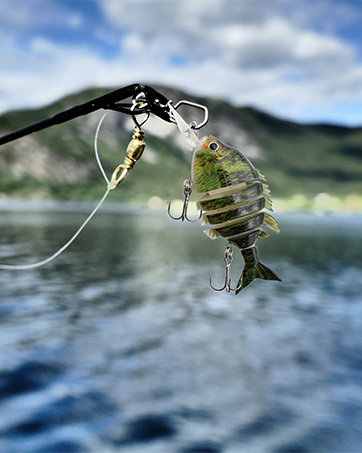Crankbait Hard Baits