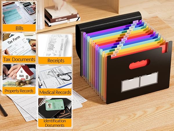 Accordion File Organizer