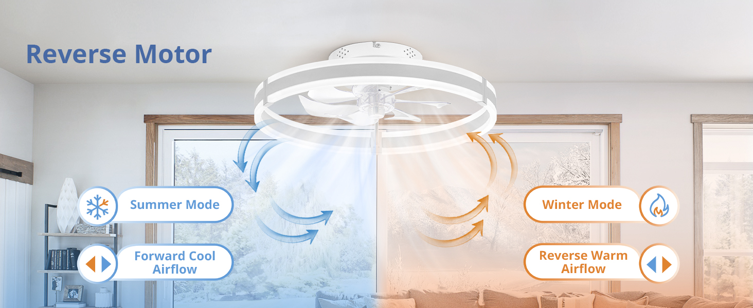 Ceiling Fans with Lights