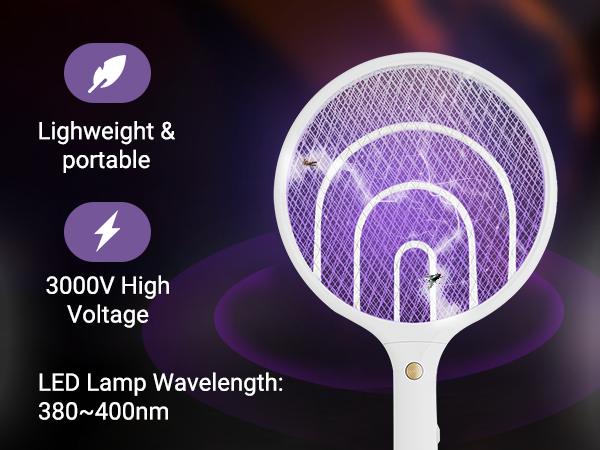 Fly swatter 