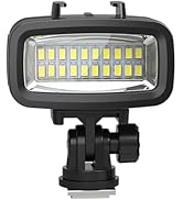 Dive Light Compatible with Gopro Light, 700LM Diving Flashlight, 4 Modes SL-100 Underwater Lights...