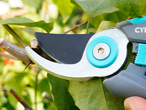 shears