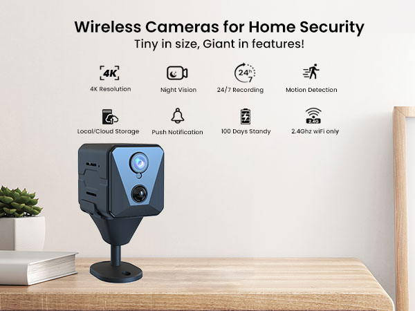 Security Cameras