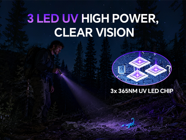UV Flashlight