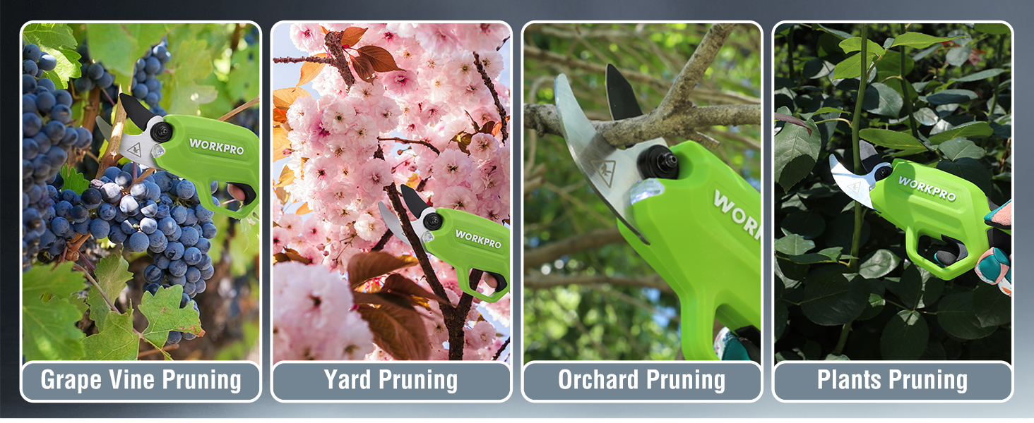 Electric Pruning Shears