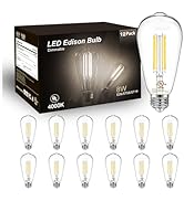 DAYBETTER 12 Pack Vintage LED Edison Bulbs, E26 Led Bulb 60W Equivalent, Dimmable Led Light Bulbs...