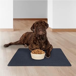 dog food