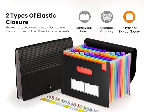 Accordion File Organizer