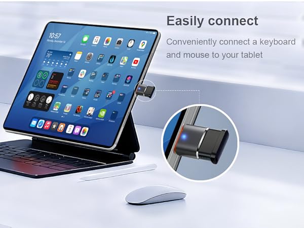 USB C to USB Adapter USB C Male to USB 3.0 Female OTG Adapter