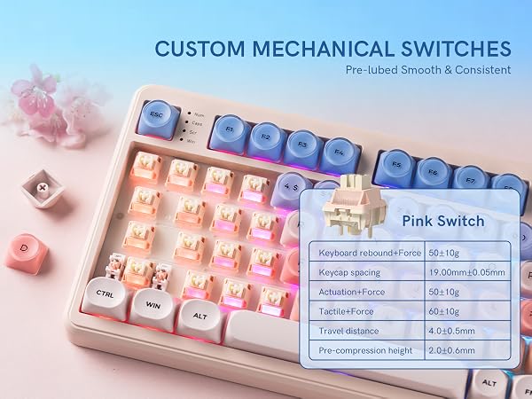 CUSTOM SWITCHES