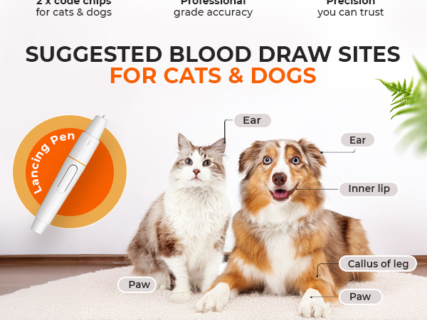 dog glucose monitor pet glucose monitoring kit for dogs pet glucose monitor kit