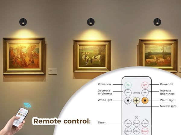 picture frame light