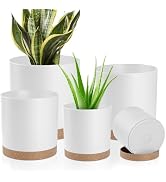 YNNICO Plant Pots with Drainage Holes and Saucers – 7, 6.5, 6, 5, 4 Inch Plastic Planters for Ind...